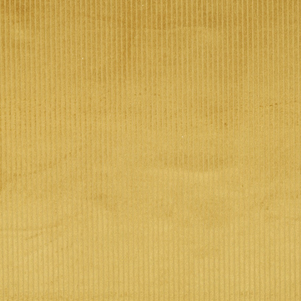 BALD ERHÄLTLICH - Cord washed curry