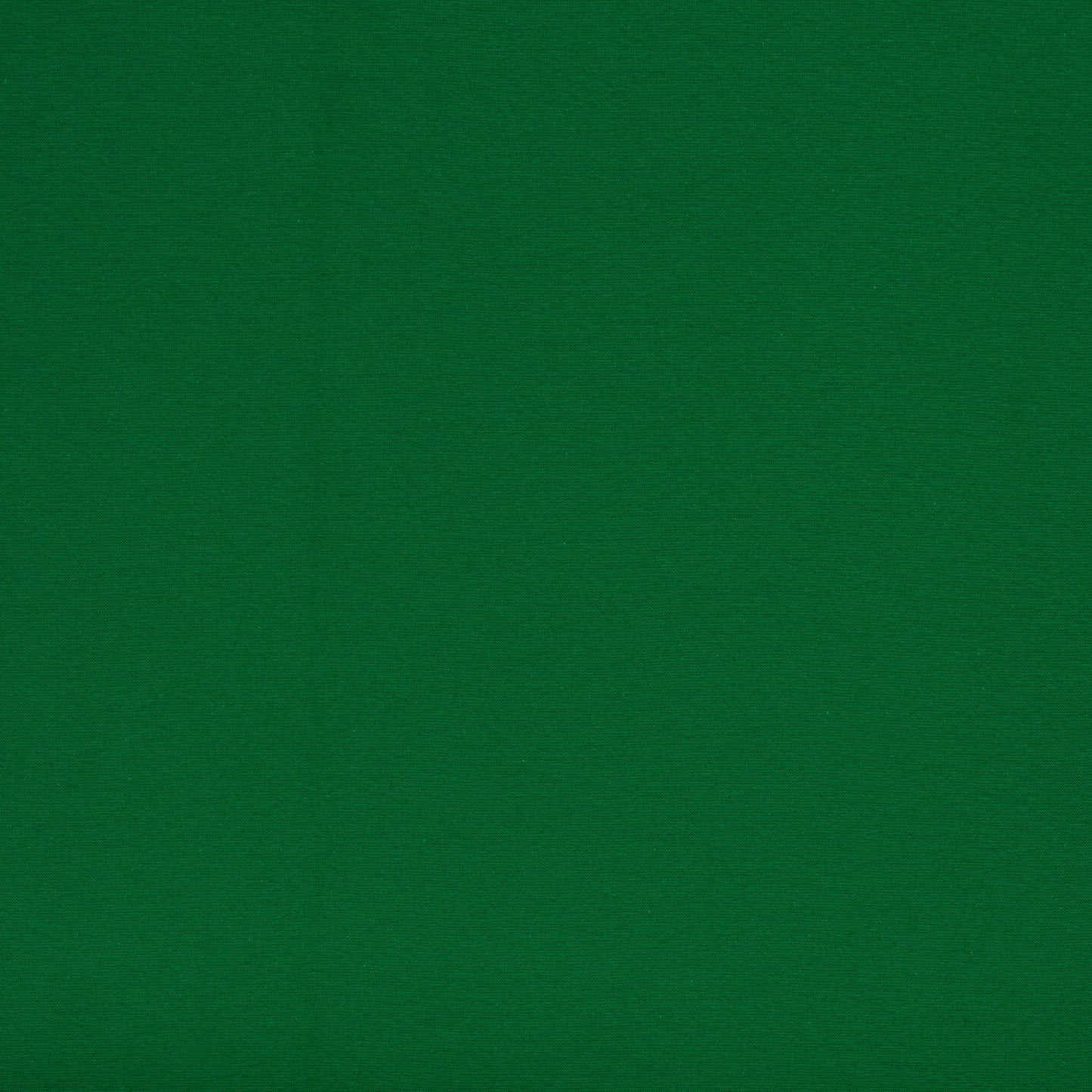 Sweat Eike uni grasgrün