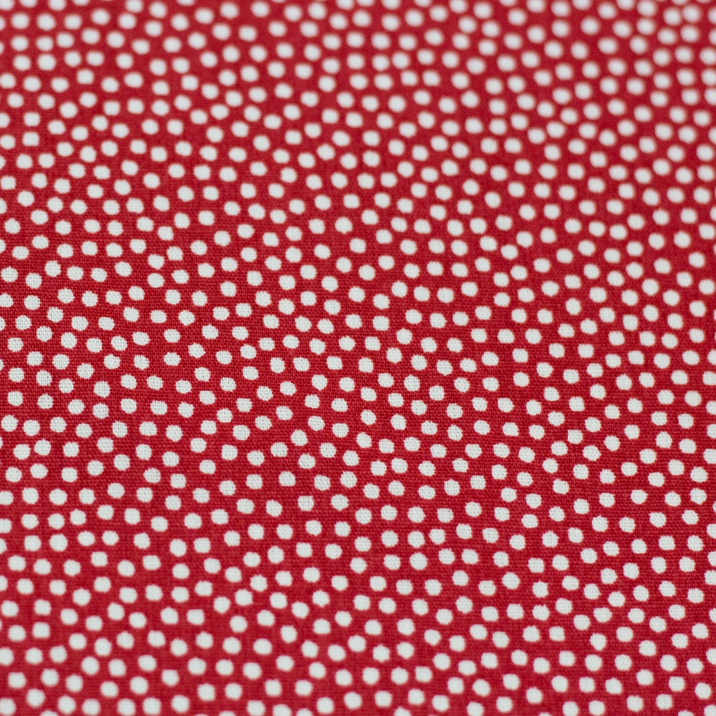 Baumwolle Punkte Dotty weiß burgundy rot