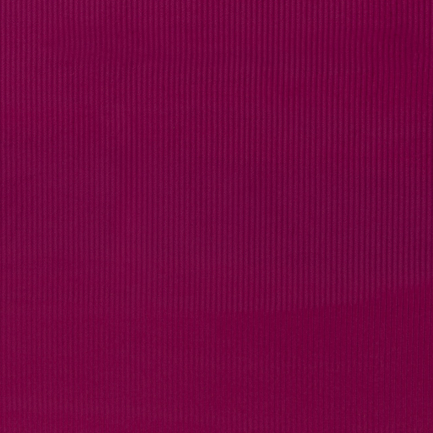 Cord dehnbar fuchsia