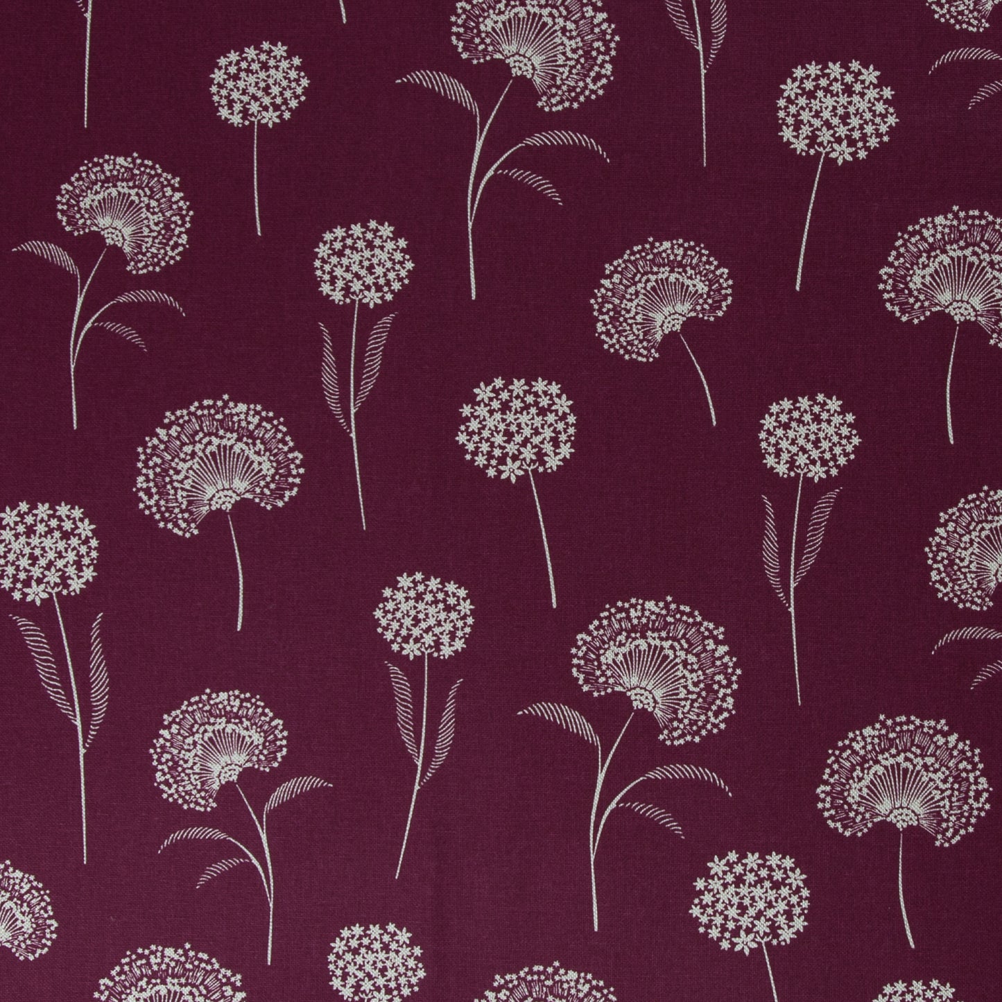 Canvas Amar Pusteblumen dunkelbeere