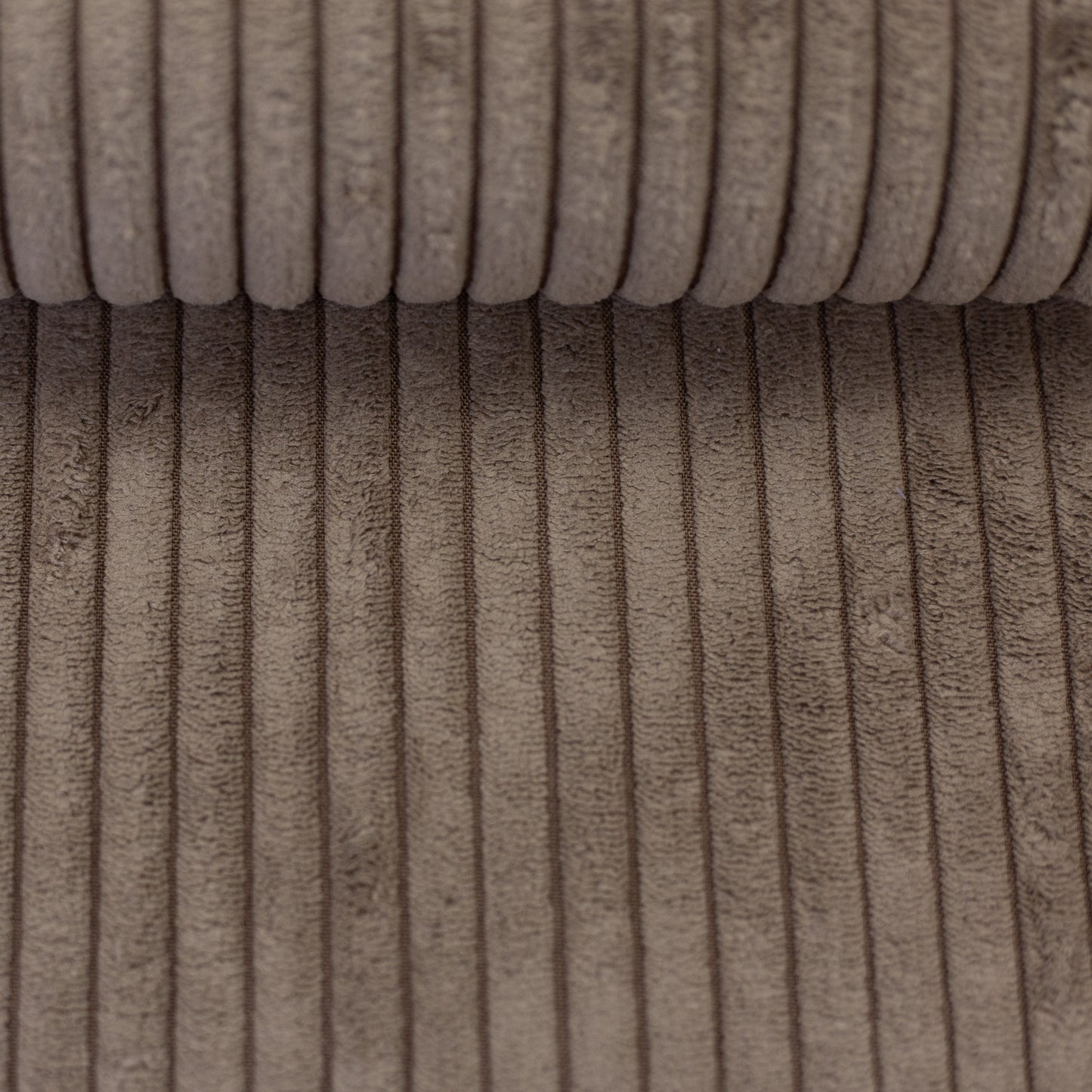 Cord Samt Wanja beige