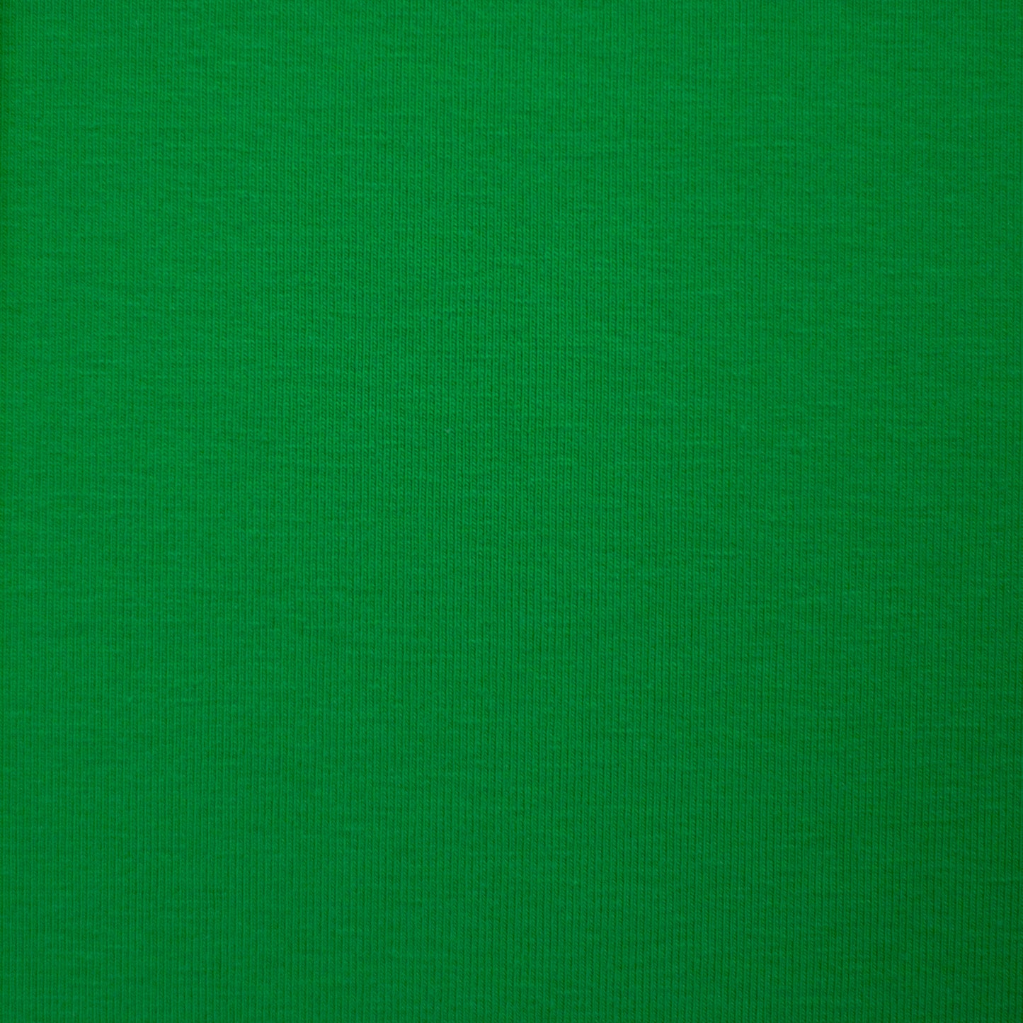 Jersey uni grün FS25
