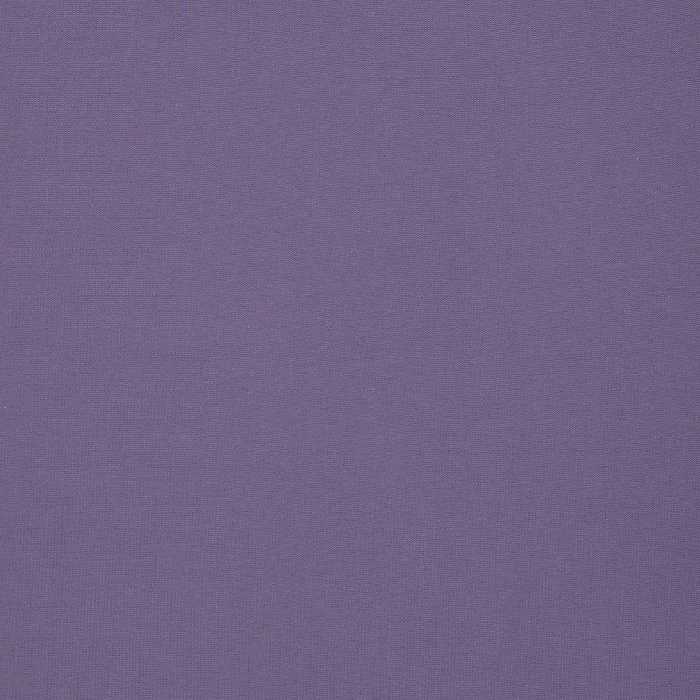 Sweat French Terry Maike HW24/25 lavender