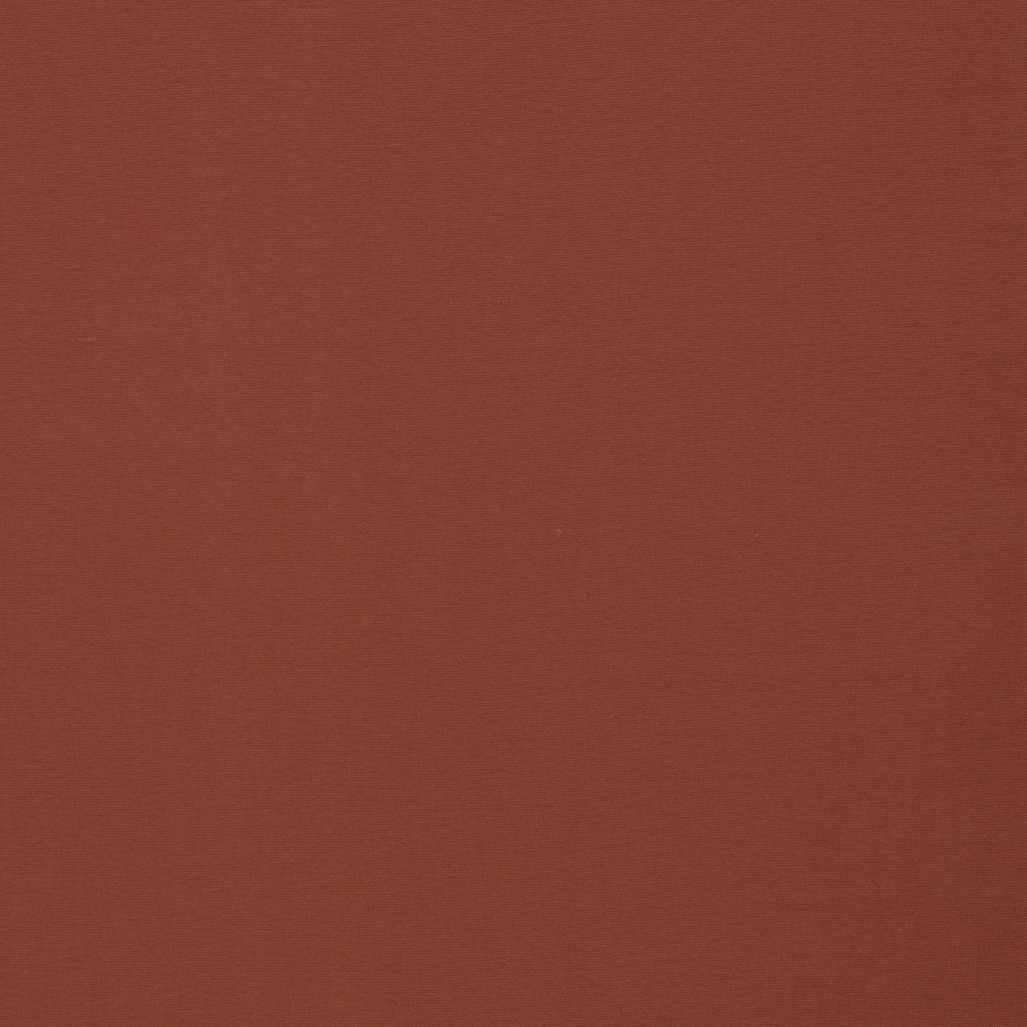 Sweat French Terry Maike HW24/25 uni terrakotta