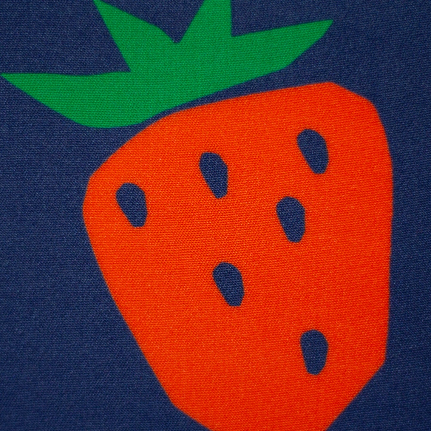 Viskose Juicy by Käselotti FS25