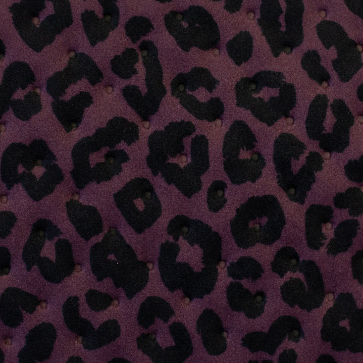Stepper Samt Samos Leo Animalprint altrosa schwarz