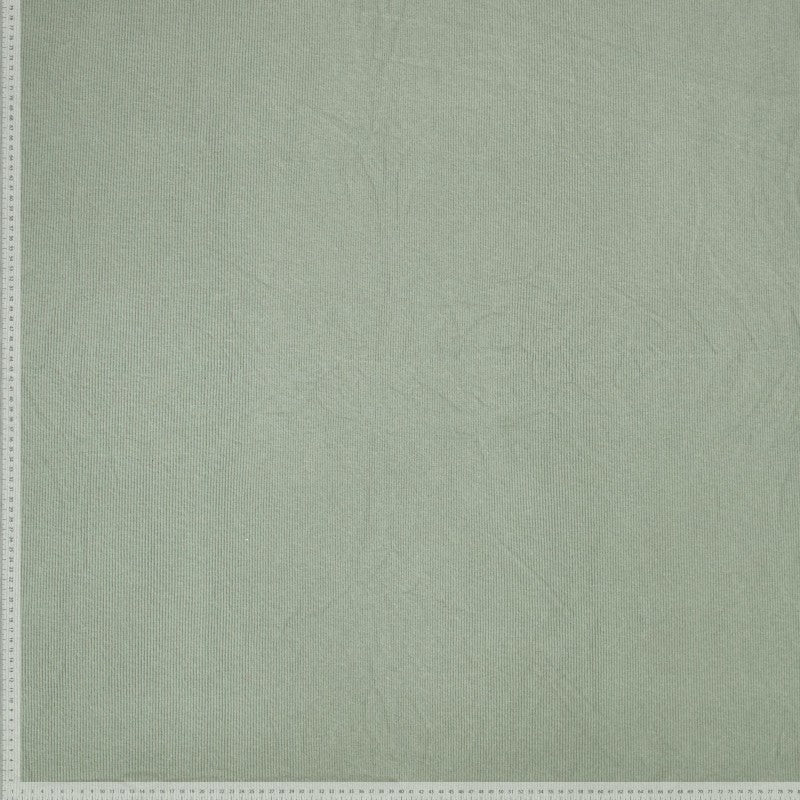 Rippenjersey Double Brushed superweich oliv
