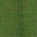 Jersey Schrägband 40/20mm Coupon grün