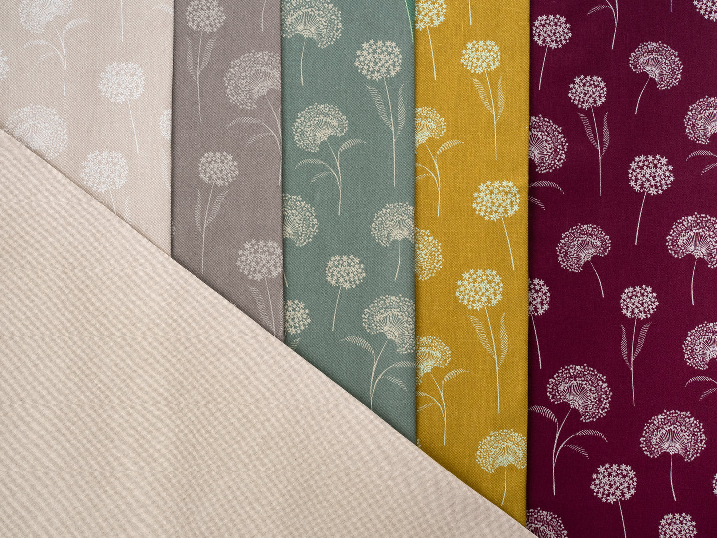 Canvas Amar Pusteblumen dunkelbeere