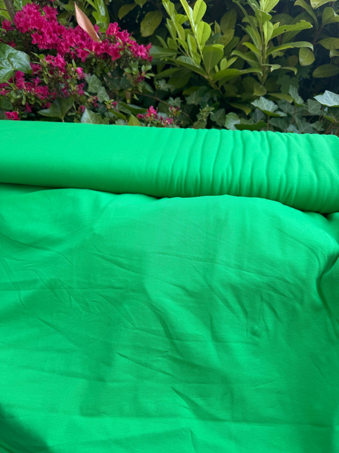 Jersey uni grün FS25