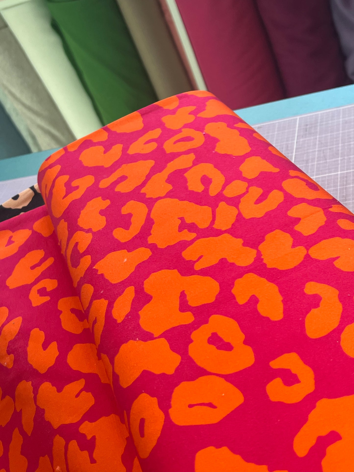 Canvas Animalprint Leo pink orange