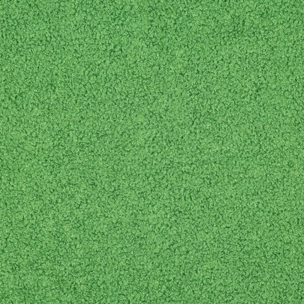 BALD ERHÄLTLICH - Teddystoff Fleece Double Sided grün