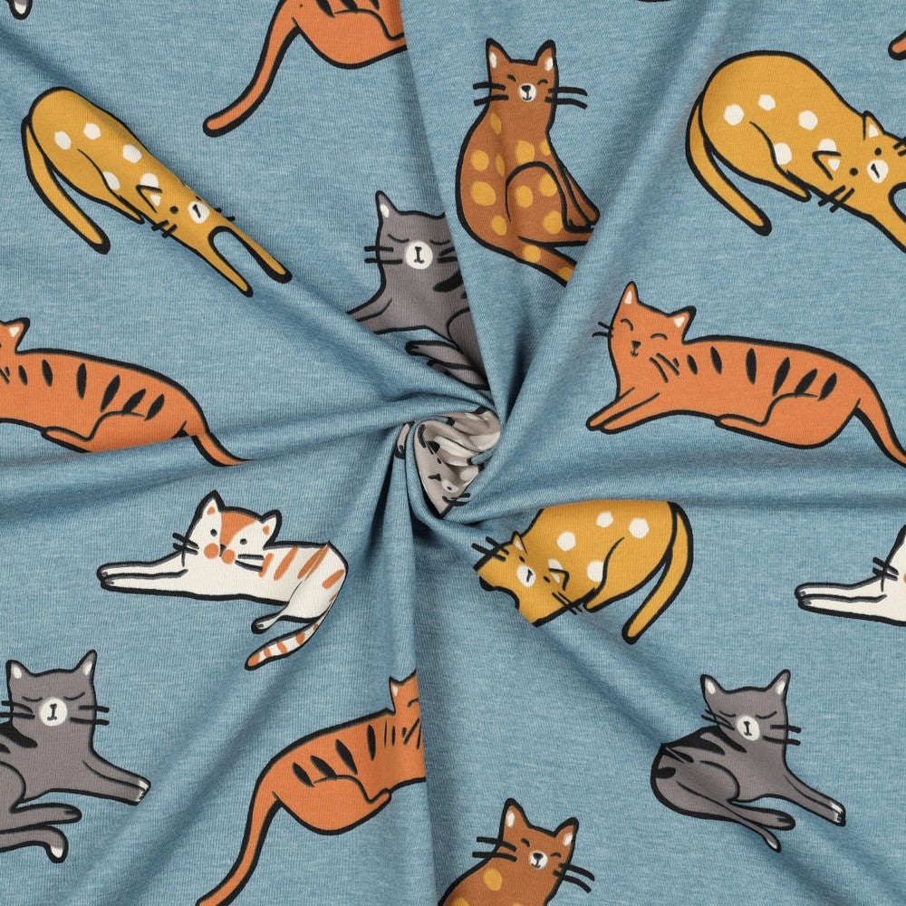 Jersey melange Katzen Cats