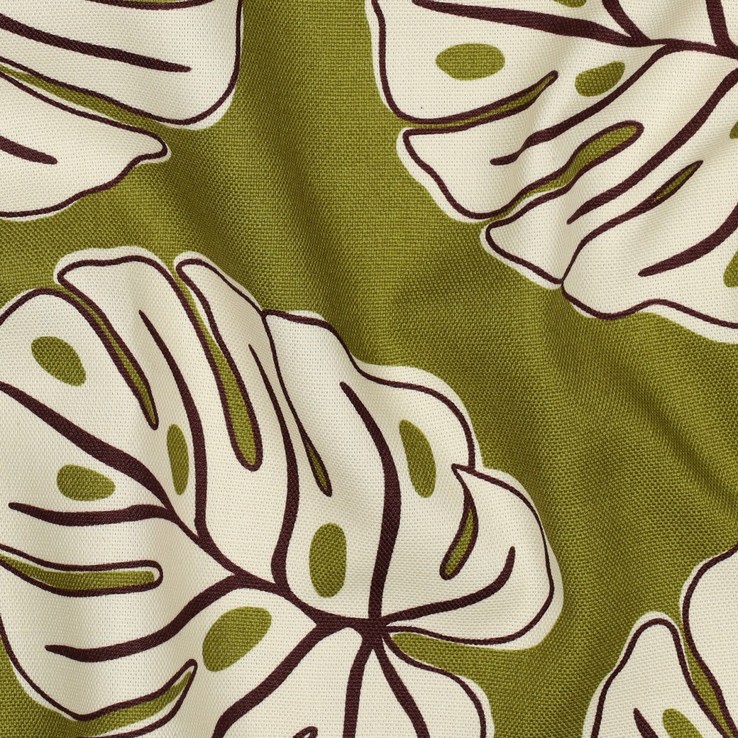 Canvas Monstera Leaves grün nature