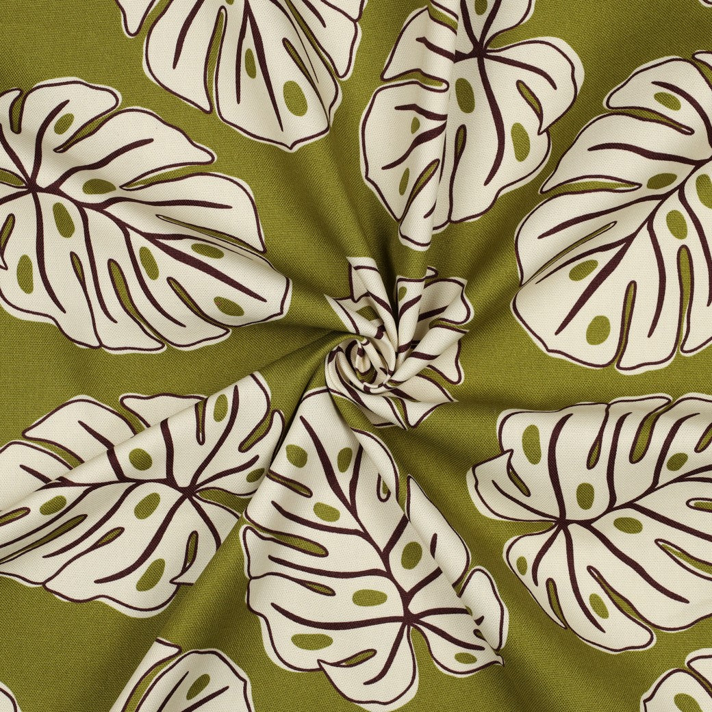 Canvas Monstera Leaves grün nature