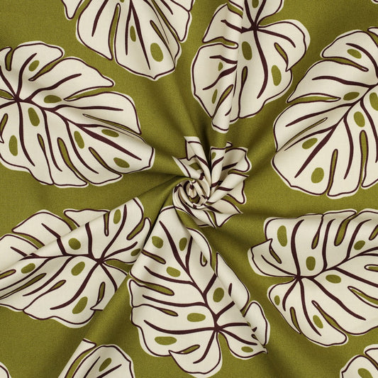 Canvas Monstera Leaves grün nature