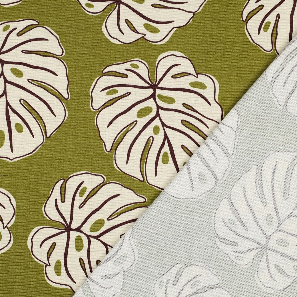 Canvas Monstera Leaves grün nature