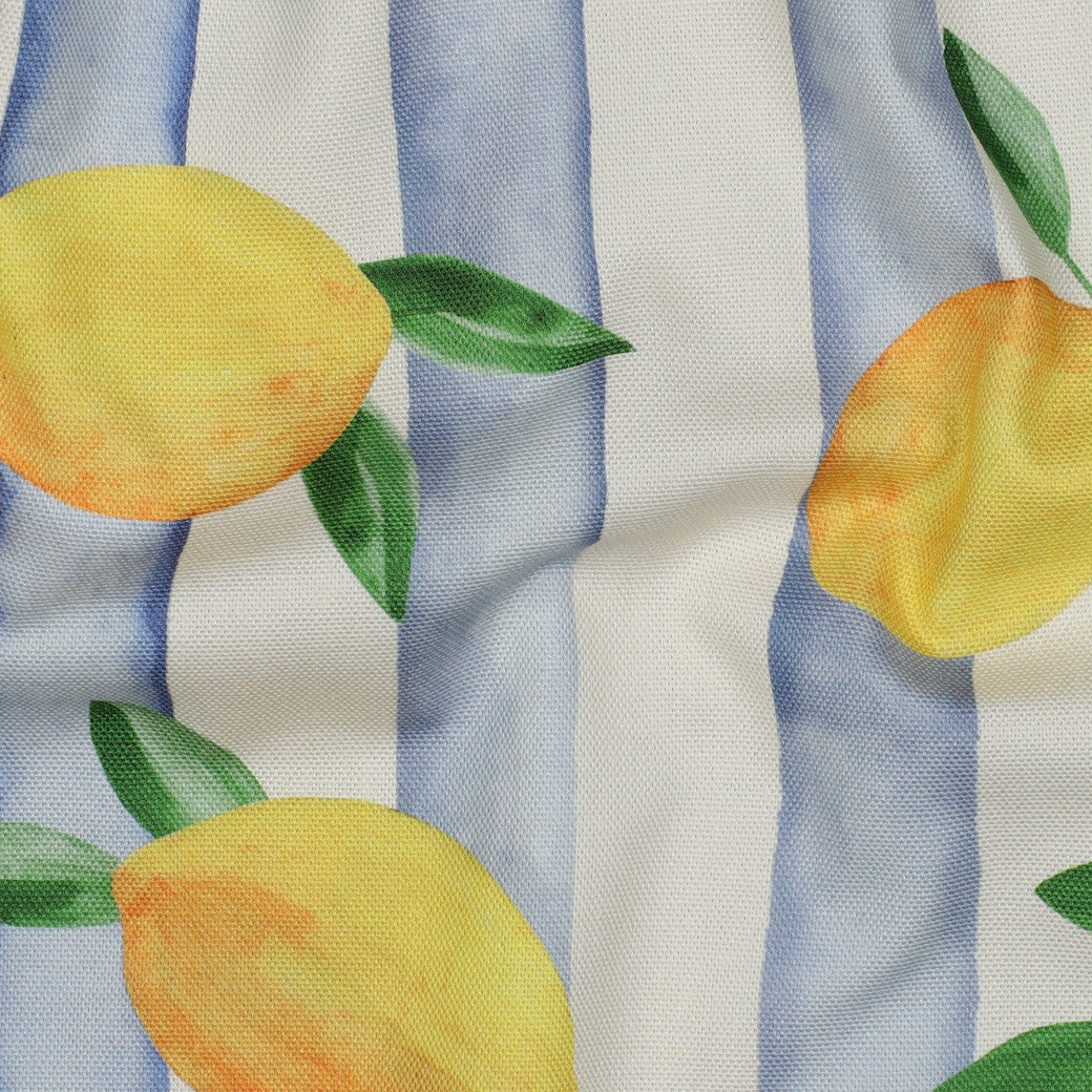Canvas Lemons Zitronen
