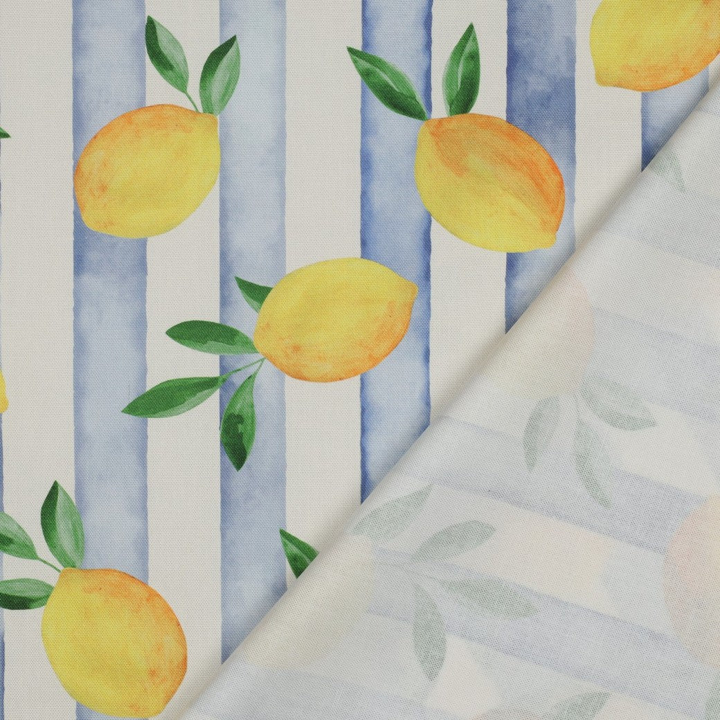 Canvas Lemons Zitronen
