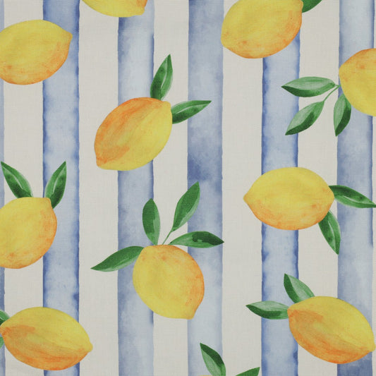 Canvas Lemons Zitronen