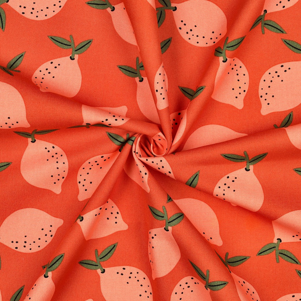 Canvas Früchte zitronen orange
