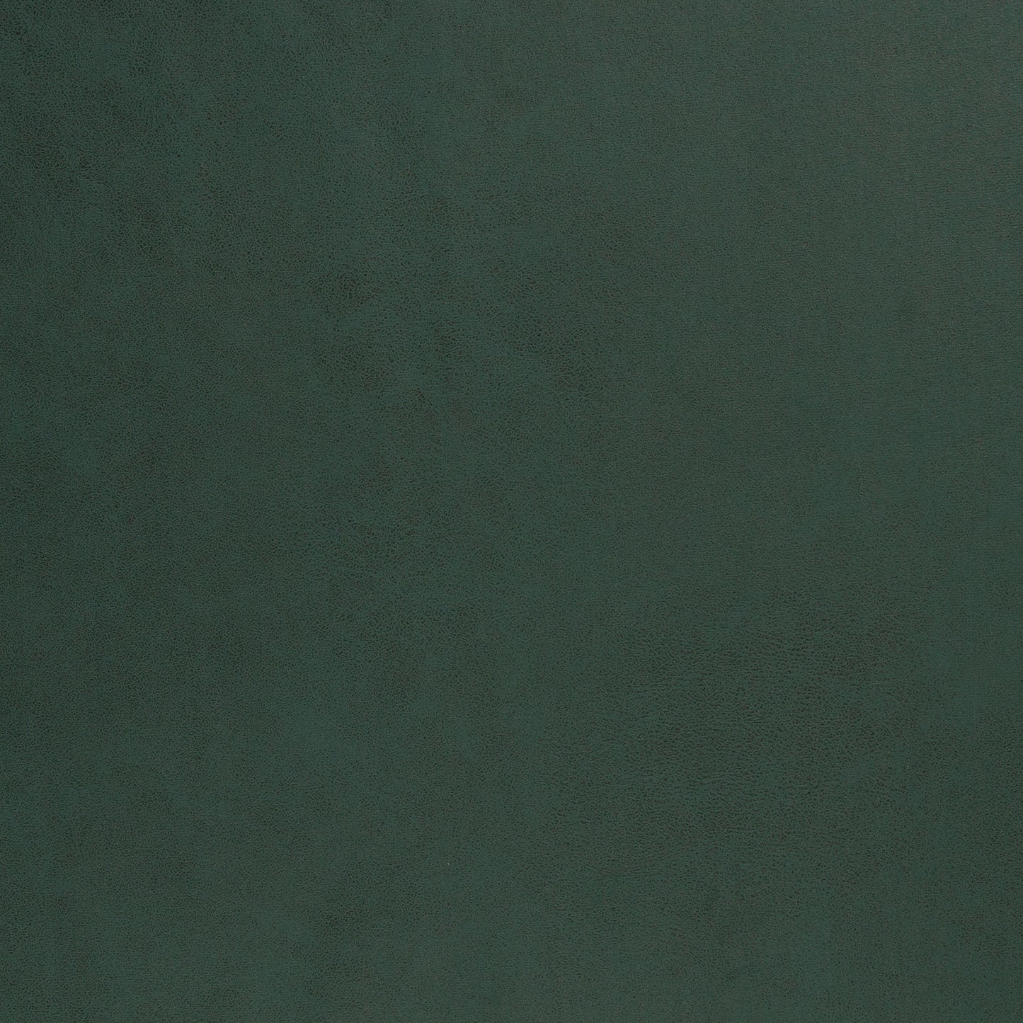 Wildlederimitat Mirco dunkelgrün HW25/26