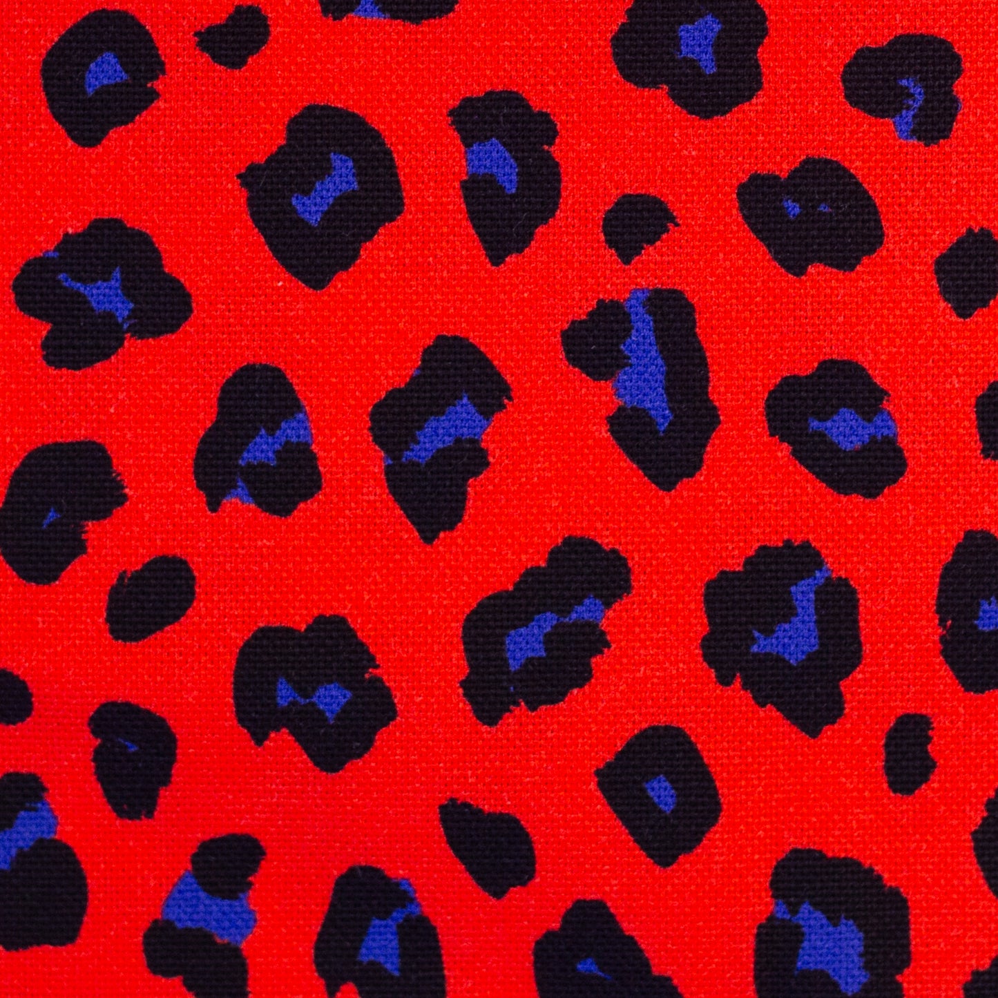 Canvas Abby Leo rot