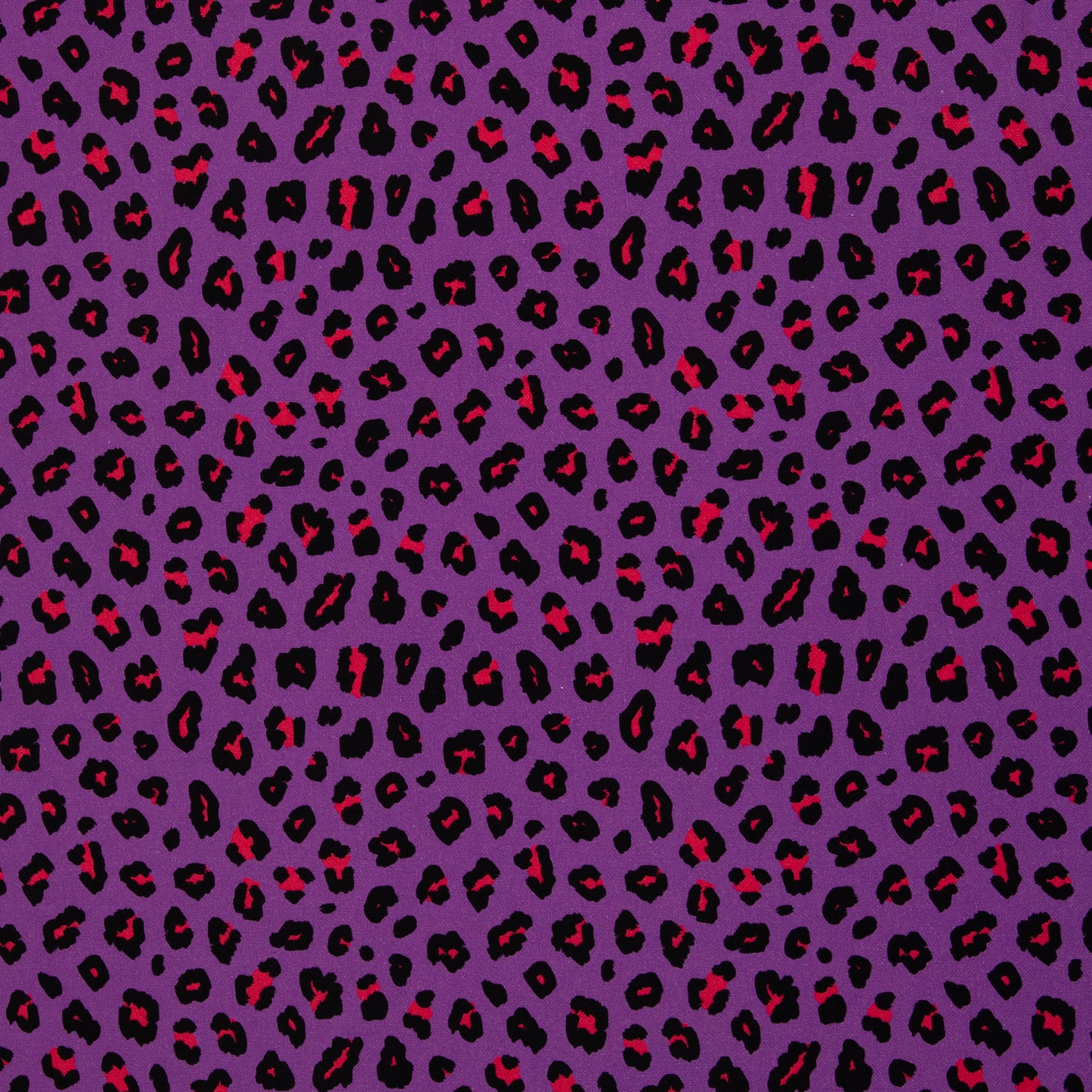 Canvas Abby Leo lila