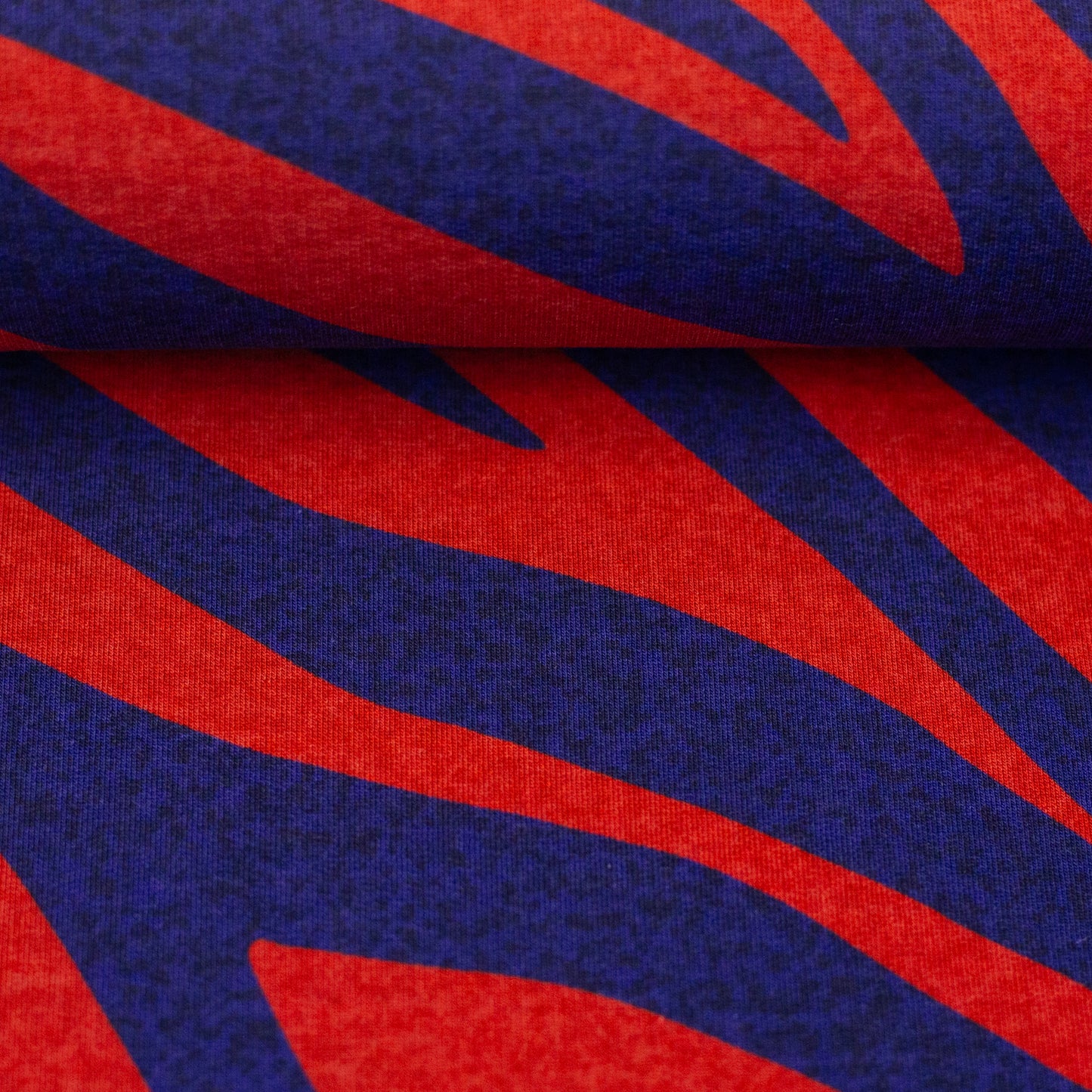 French Terry Monsta by Thorsten Berger Zebra blau rot