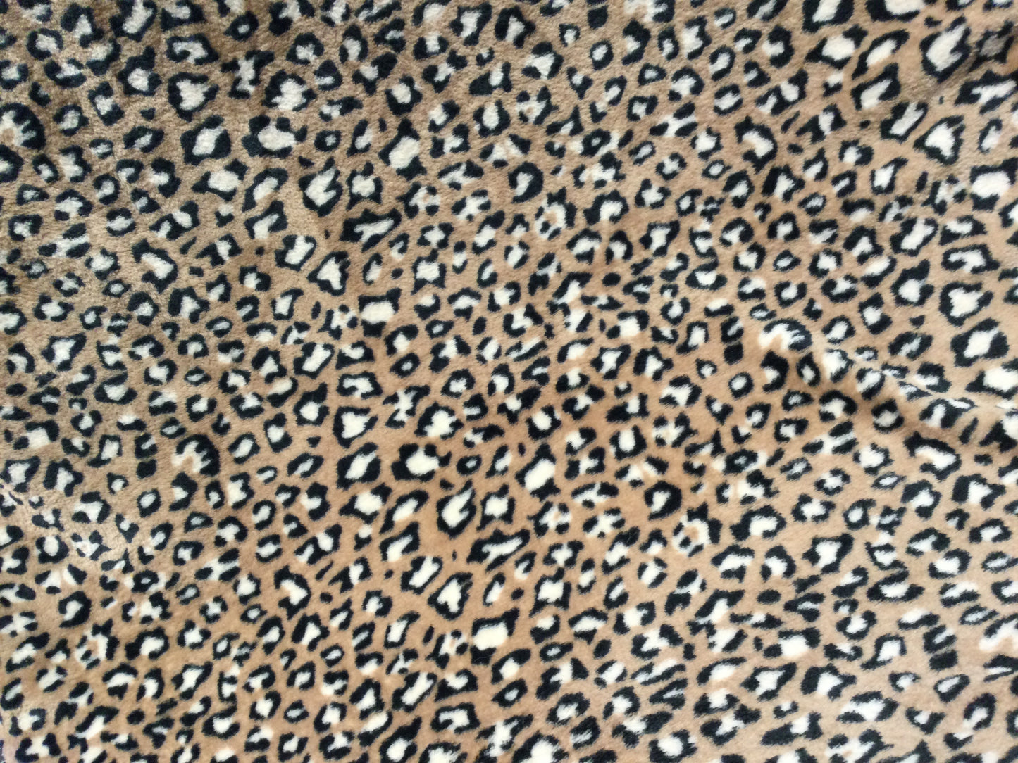 Fleece Wellness Leo