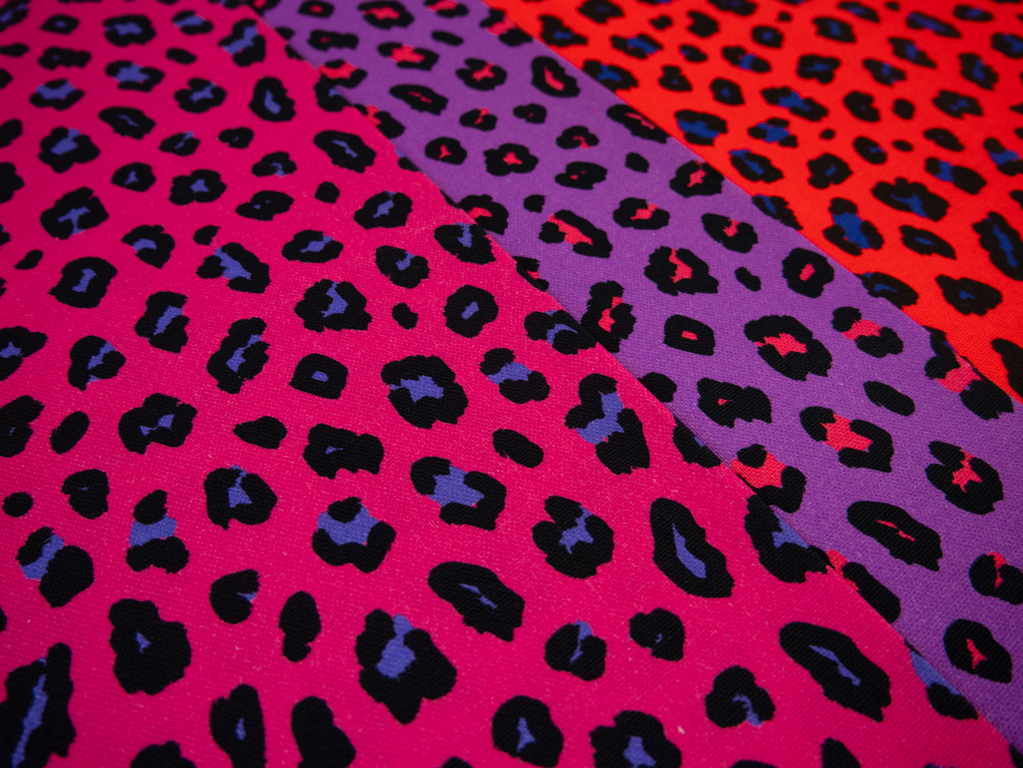 Canvas Abby Leo rot