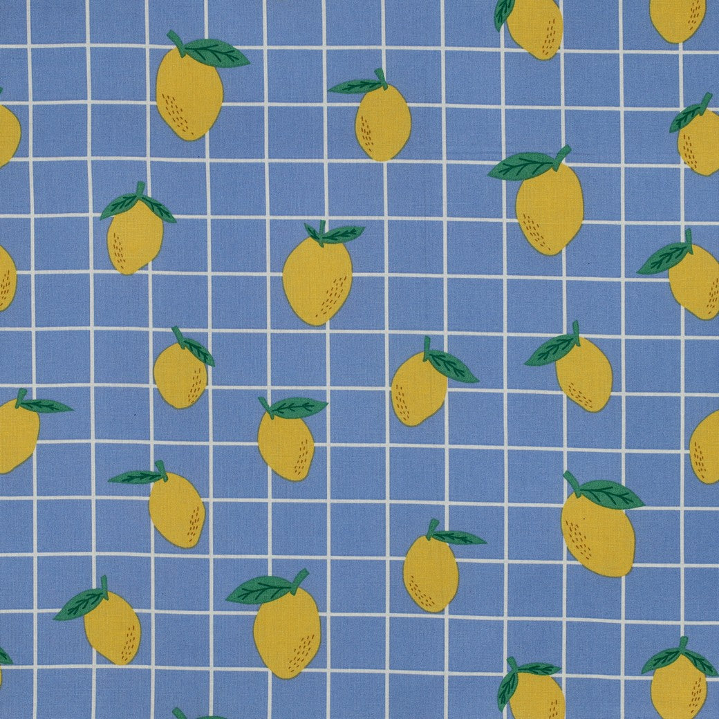 Beschichtete Baumwolle Früchte Zitronen blau