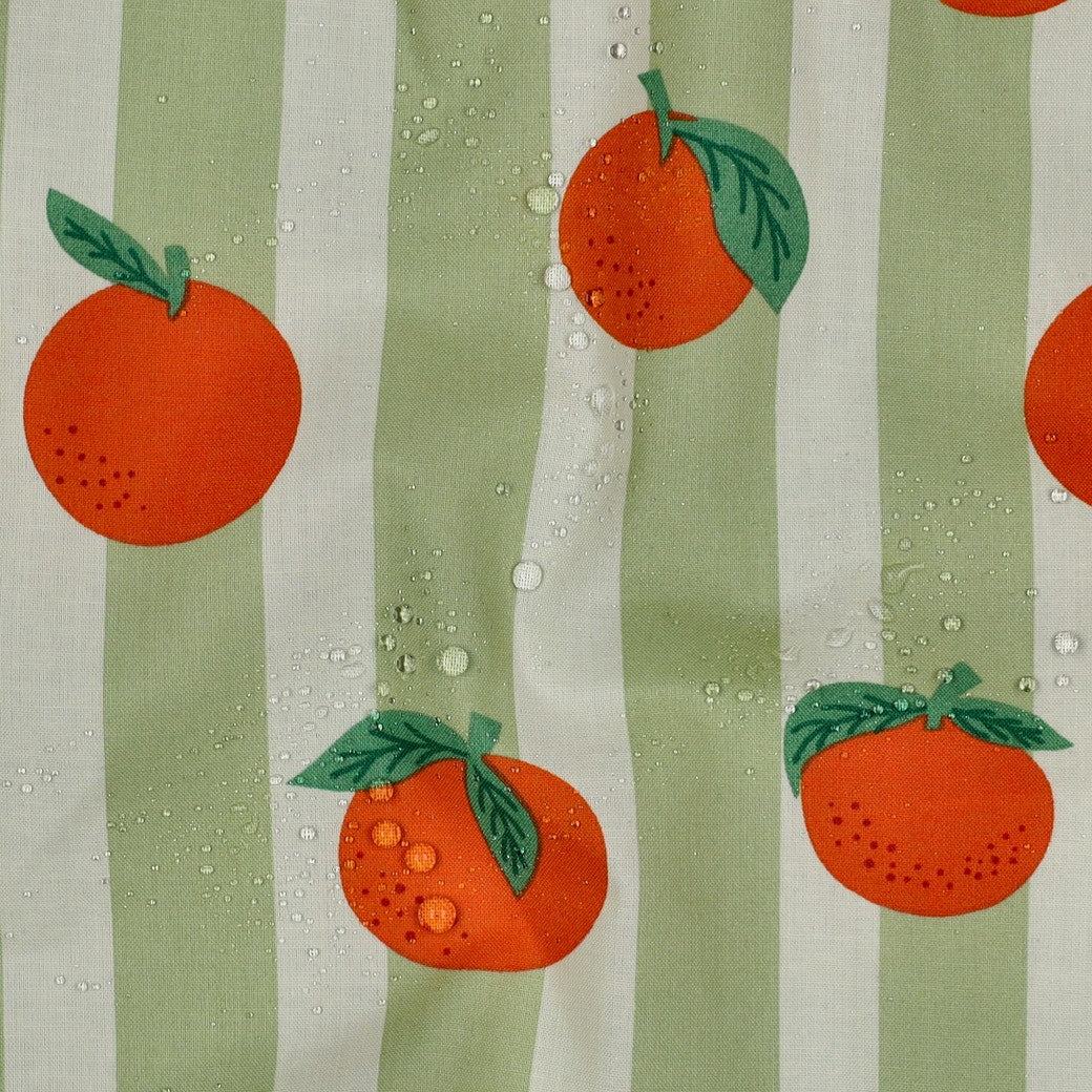 Beschichtete Baumwolle Früchte Orangen Streifen grün