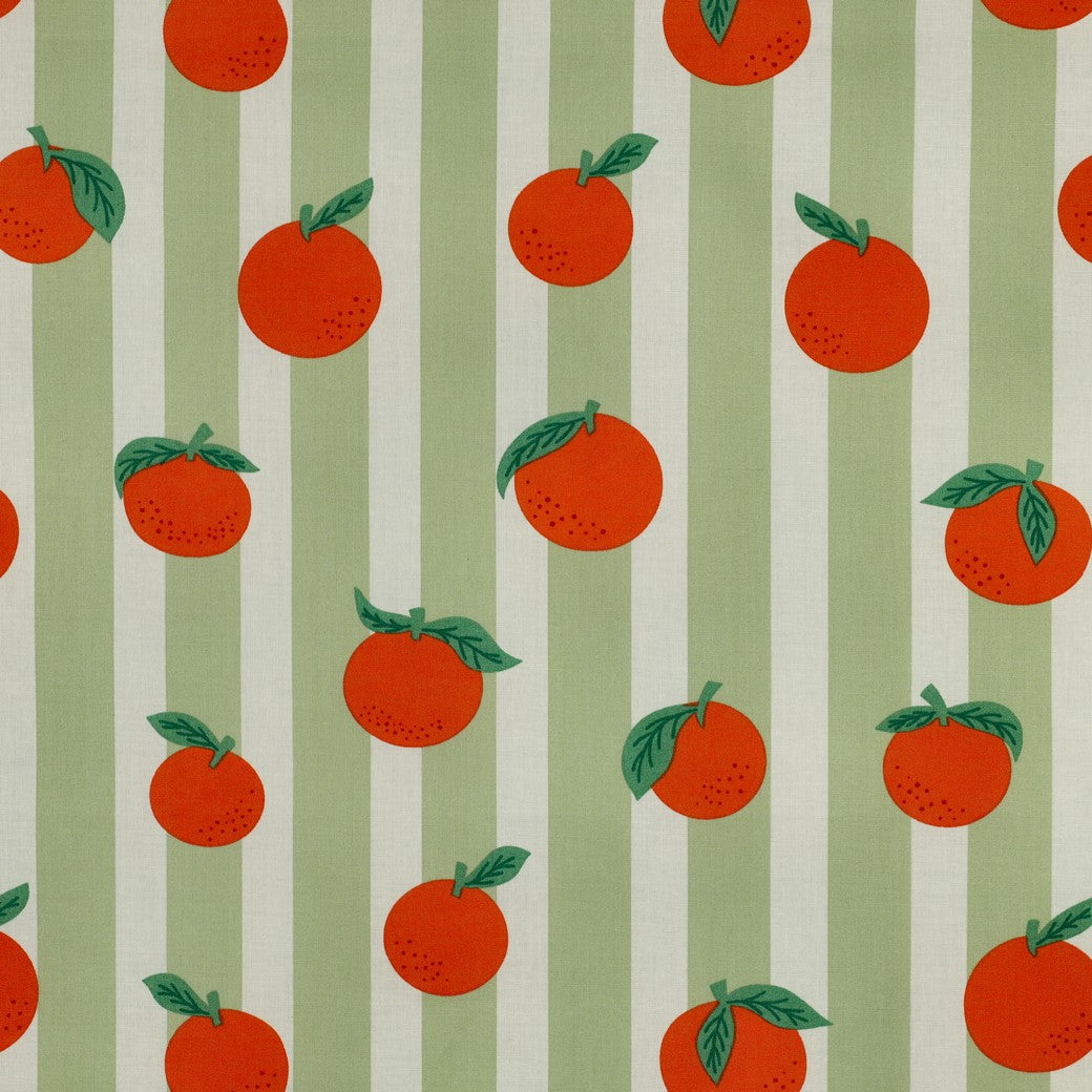 Beschichtete Baumwolle Früchte Orangen Streifen grün