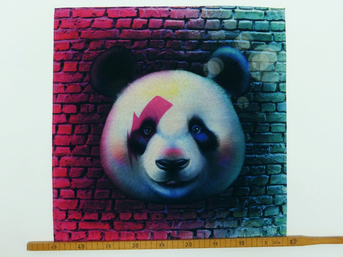 Paneldruck Panda Kissen