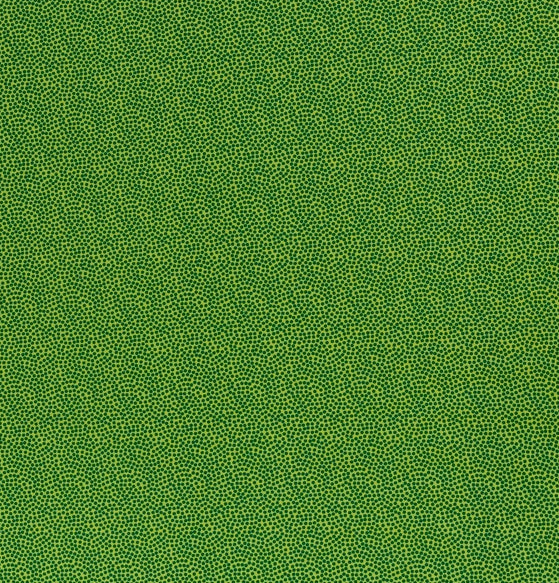 Baumwolle Punkte Dotty grün